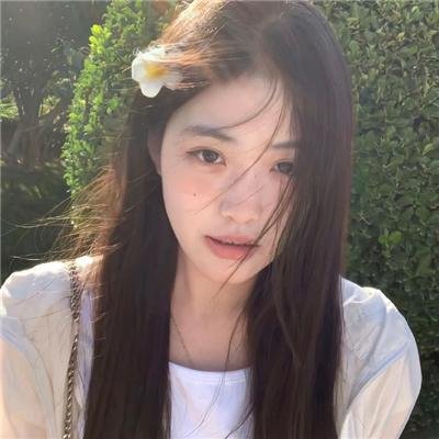 嘉南传