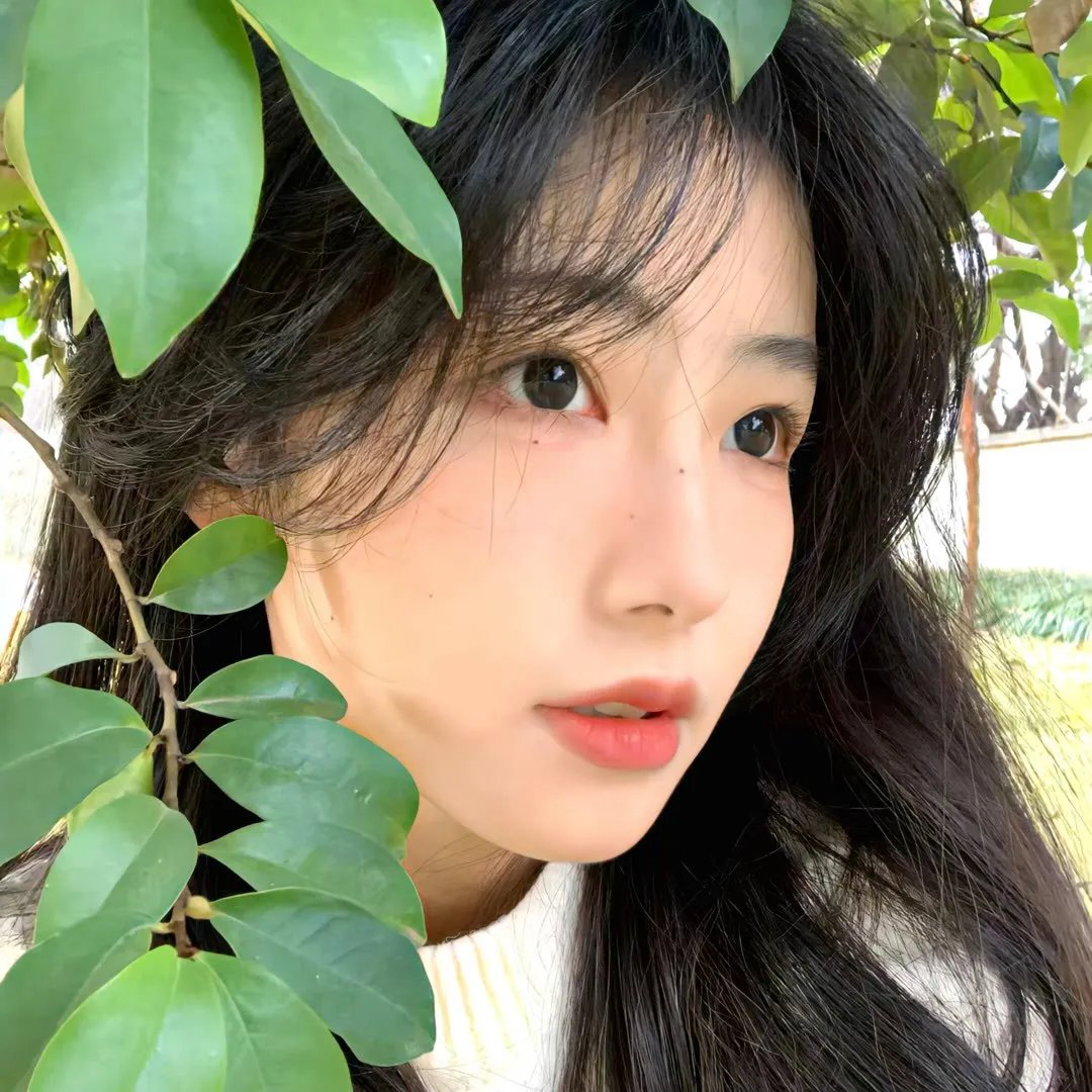 挣脱枷锁